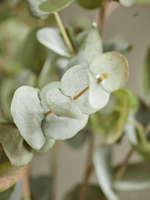 Three Faux Rounded Eucalyptus Sprays