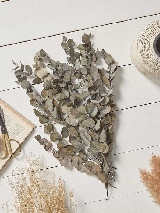 Dried Eucalyptus Mixed Bouquet