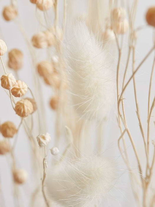Mixed Dried Pampas Bunch