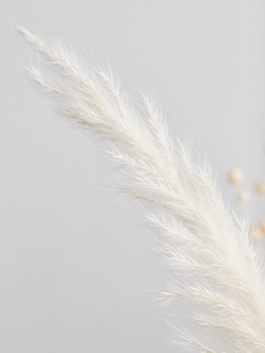 Mixed Dried Pampas Bunch