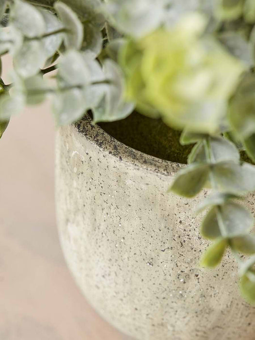 Faux Potted Eucalyptus