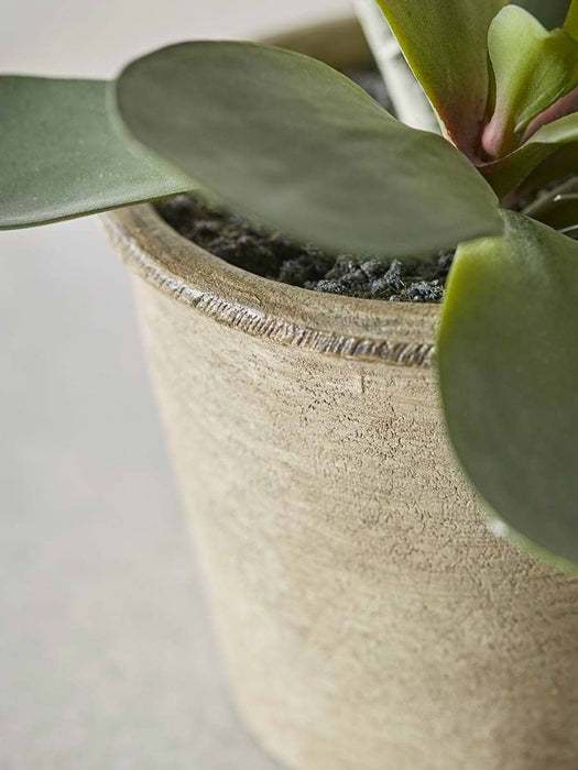 Faux Potted Kalanchoe