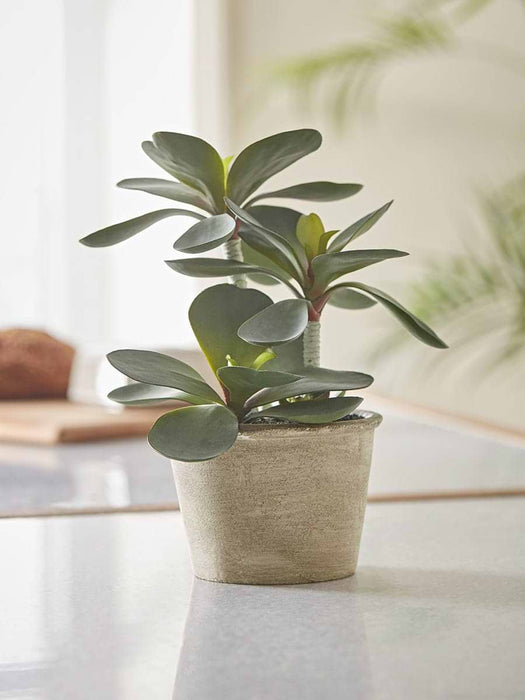 Faux Potted Kalanchoe