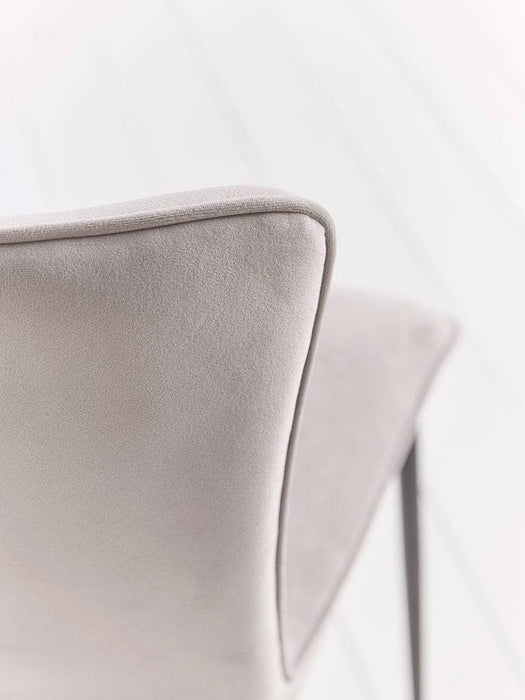 Two Eva Dining Chairs