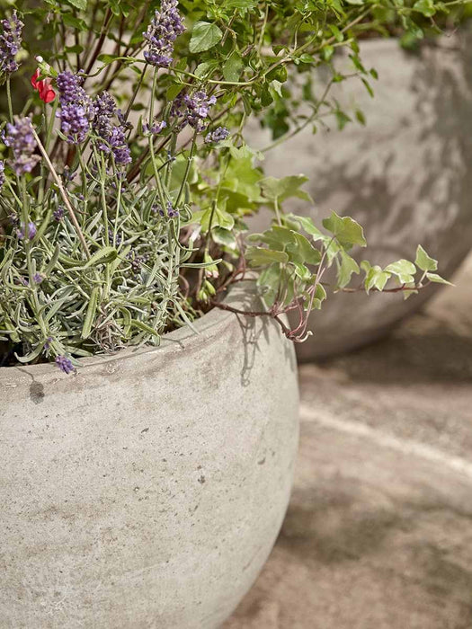 Three Bowl Planters - Sand