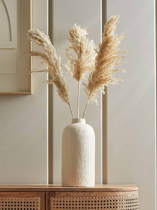 Three Natural Dried Pampas Grass