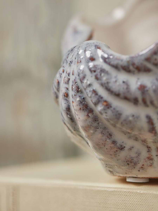 Standing Clam Shell