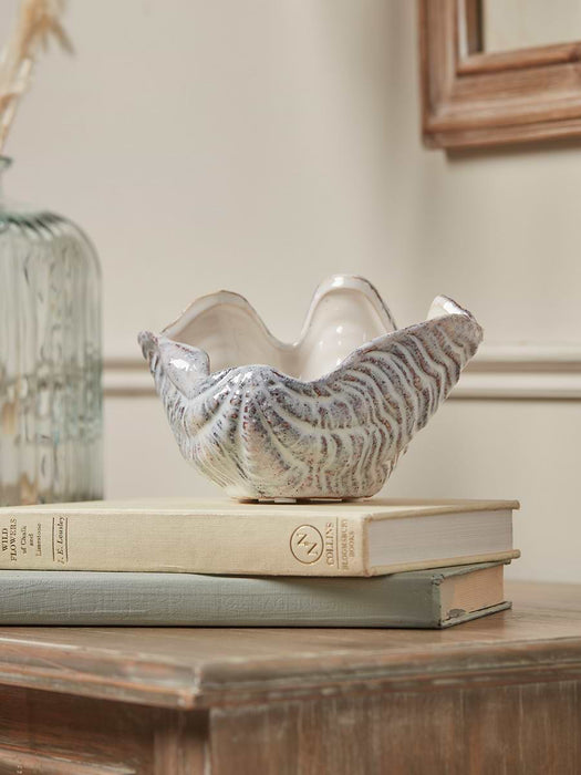 Standing Clam Shell