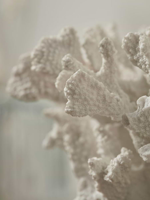 Faux Coral