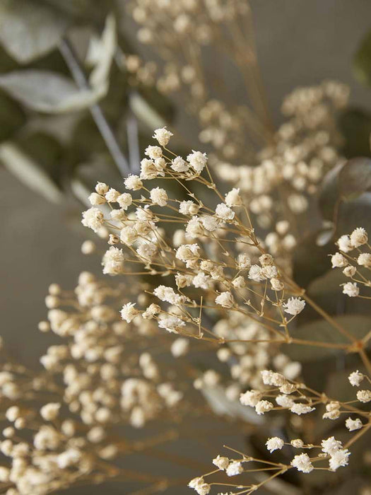 Dried Eucalyptus & Gypsophila Bouquet