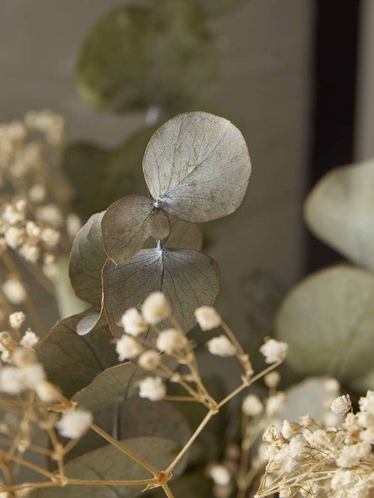 Dried Eucalyptus & Gypsophila Bouquet