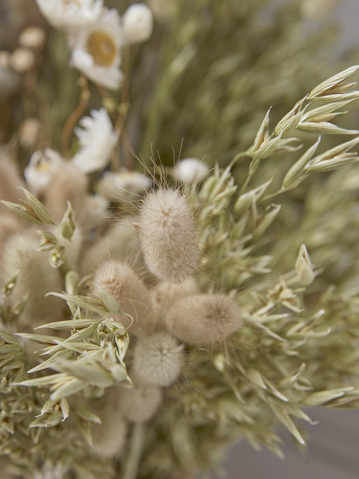Dried Mixed Daisy Bouquet