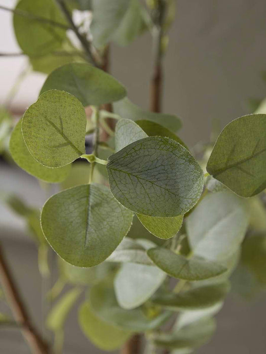 Faux Potted Eucalyptus - Large