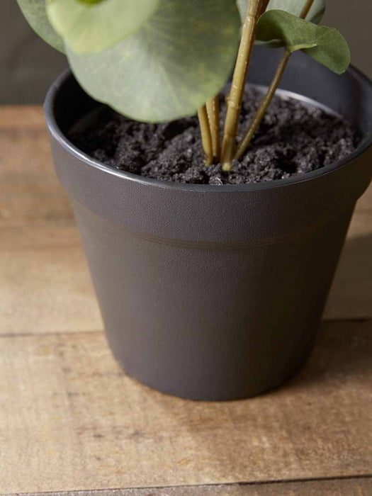 Faux Potted Eucalyptus - Small