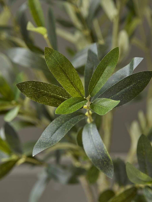 Faux Potted Olive Tree - Small