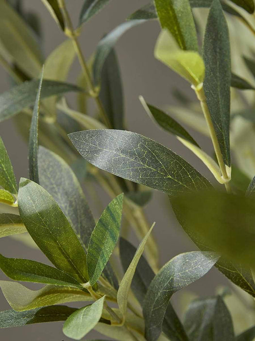 Faux Potted Olive Tree - Small