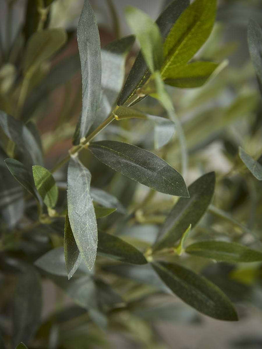 Faux Potted Olive Tree - Small