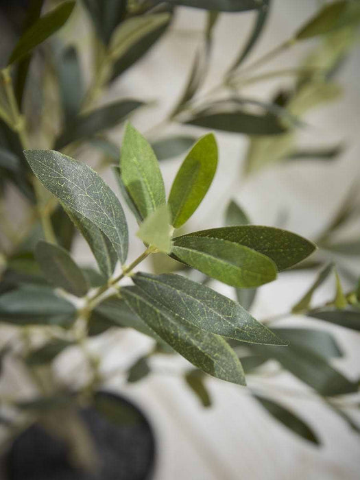 Faux Potted Olive Tree - Small