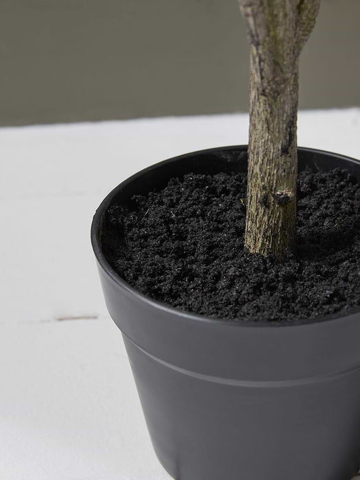Faux Potted Olive Tree - Small