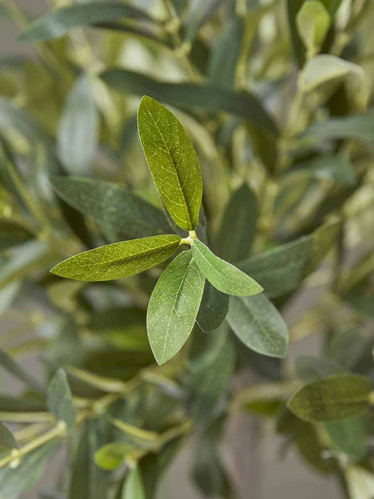 Faux Potted Olive Tree - Small