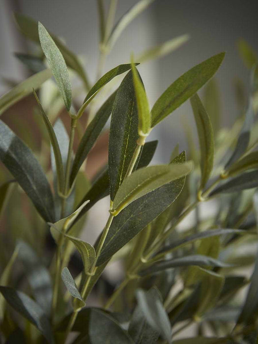 Faux Potted Olive Tree - Large