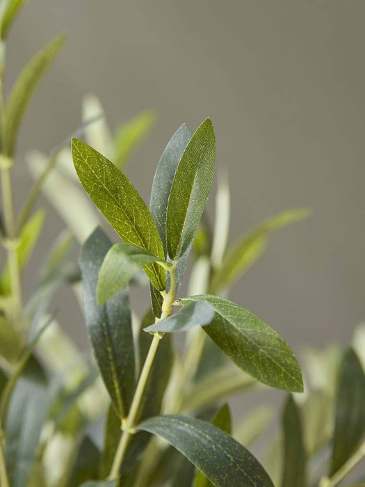 Faux Potted Olive Tree - Large