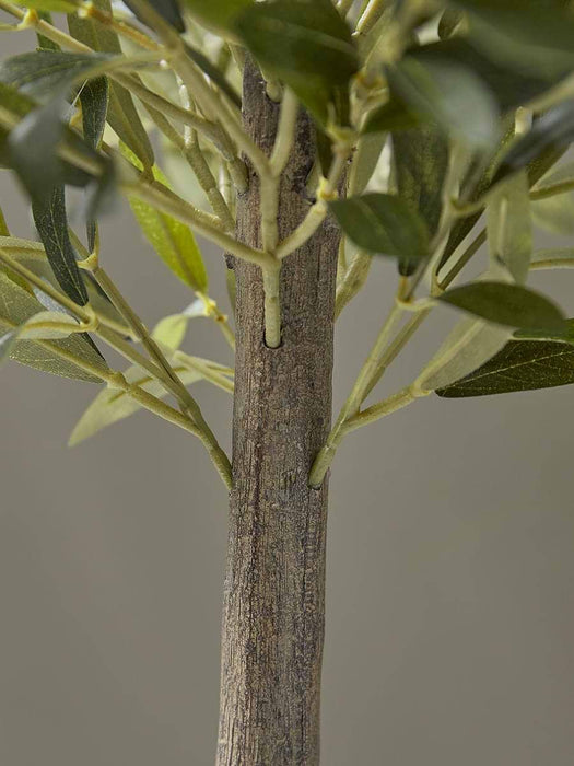 Faux Potted Olive Tree - Large