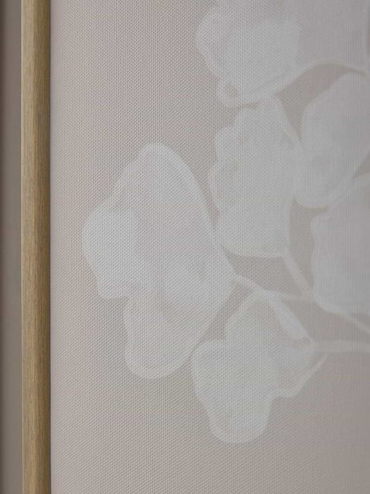 Three Framed Fern Canvases