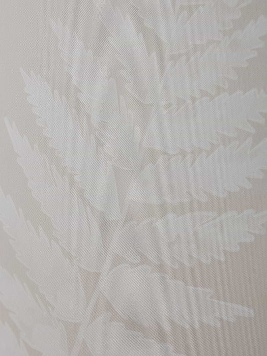 Three Framed Fern Canvases
