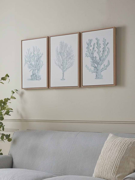 Three Framed Coral Canvases