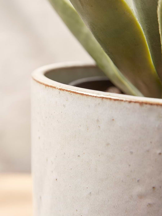 Elodie Planter