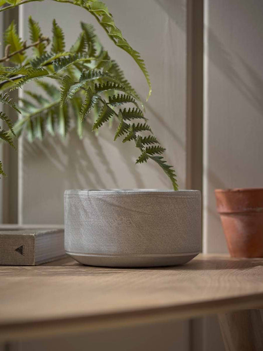 Cement Planter