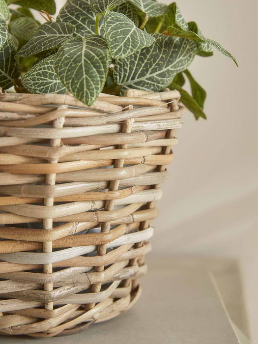 Three Round Rattan Planters