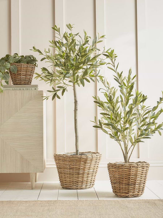 Three Round Rattan Planters