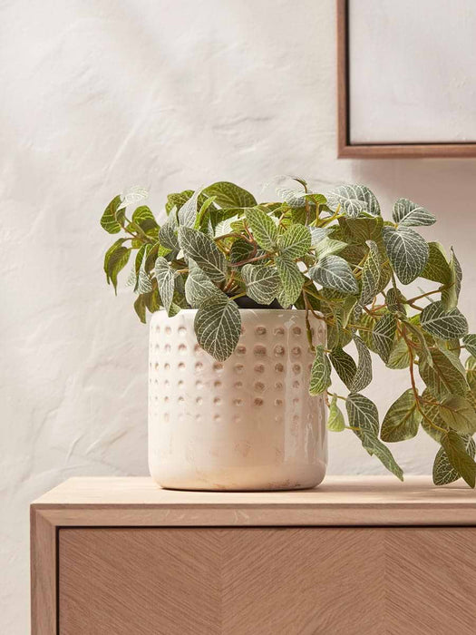 Glazed Dotty Planter