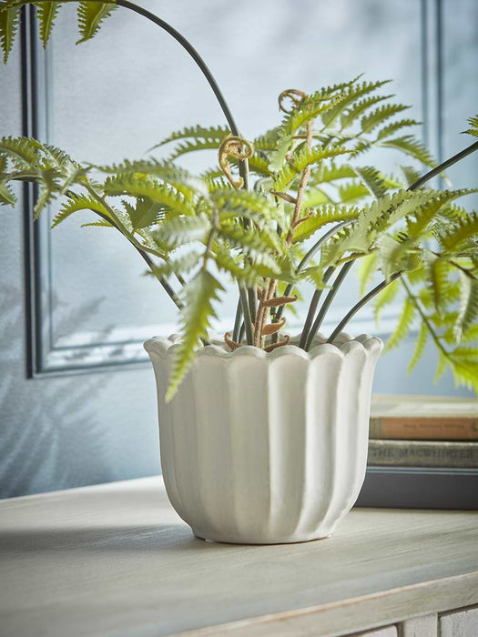 Scalloped Edge Planter