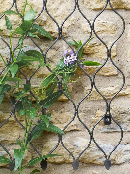 Outdoor Maroq Trellis