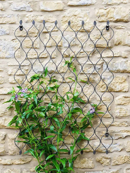 Outdoor Maroq Trellis