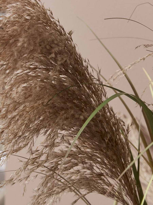 Faux Potted Pampas Grass - Small