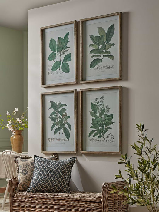 Four Foliage Framed Prints