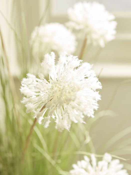 Faux Potted Allium - Small