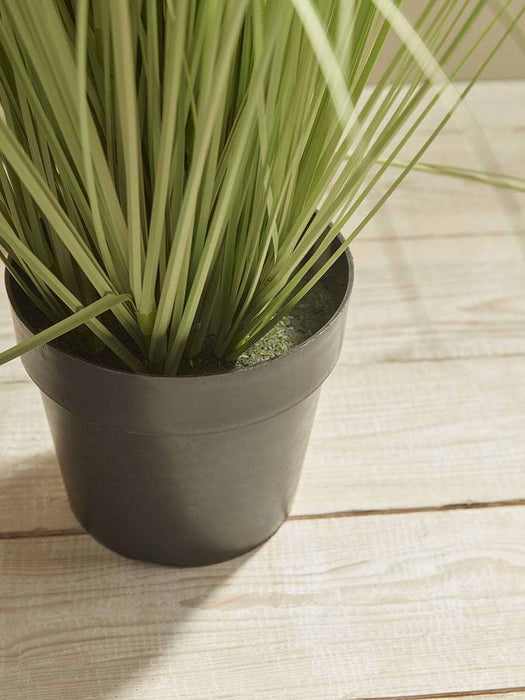 Faux Potted Allium - Small