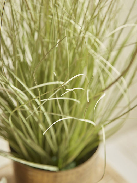 Faux Potted Allium - Small