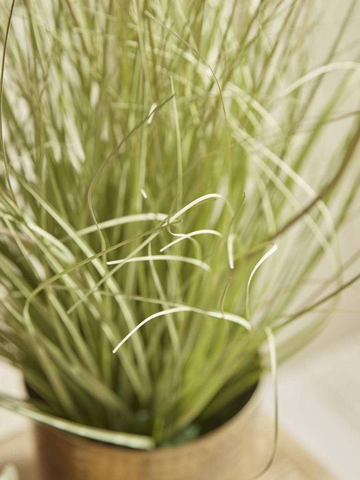 Faux Potted Allium - Small