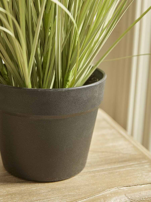Faux Potted Allium - Small