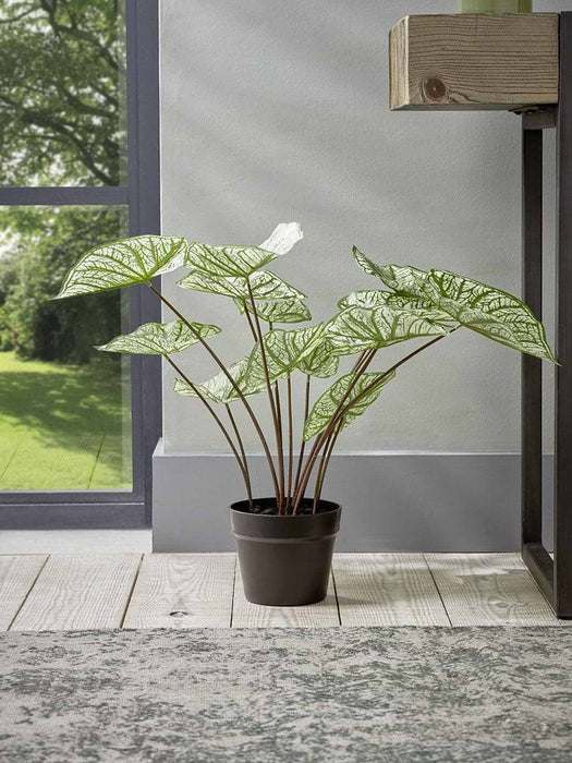 Faux Potted Caladium