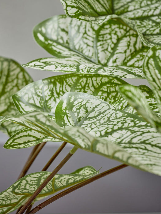 Faux Potted Caladium