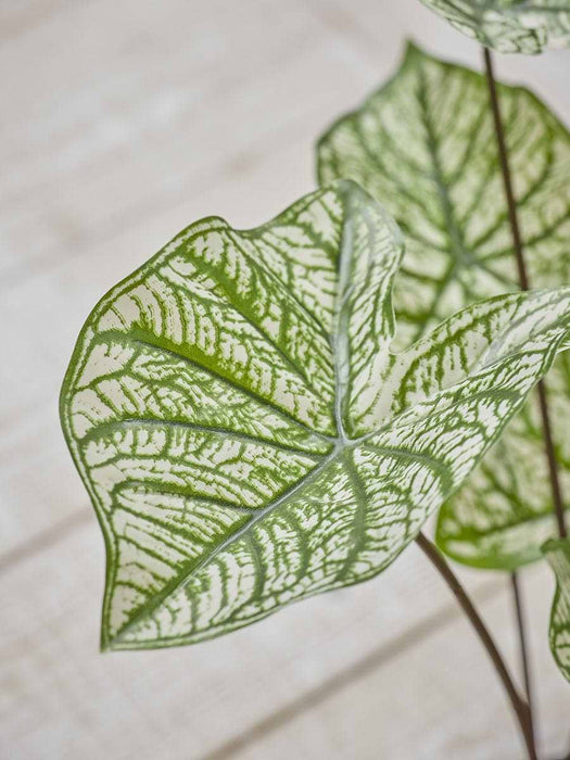Faux Potted Caladium