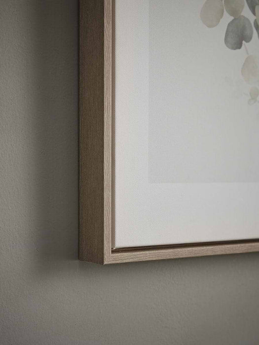 Two Framed Eucalyptus Prints