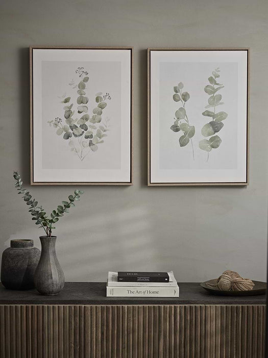 Two Framed Eucalyptus Prints